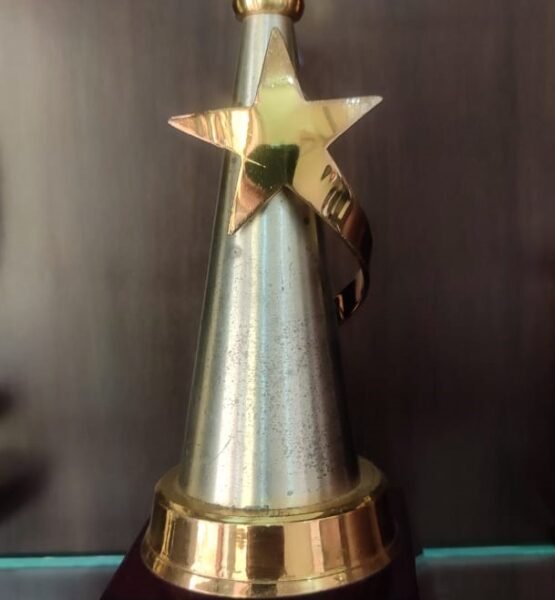 36 MOMENTO ROTARY GHAZIABAD CENTRAL