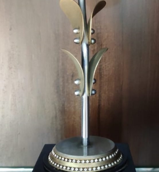 42 AWARD FROM AIFTP-NORTH ZONE SEMINAR ON INDIRECT TAXATION MEERUT 2012