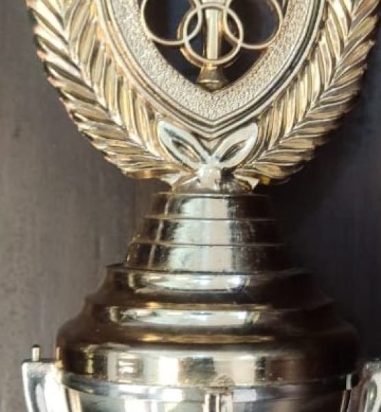 61 MOMENTUM GENERAL SECRETARY PRESENTED BY AJAY SINHA